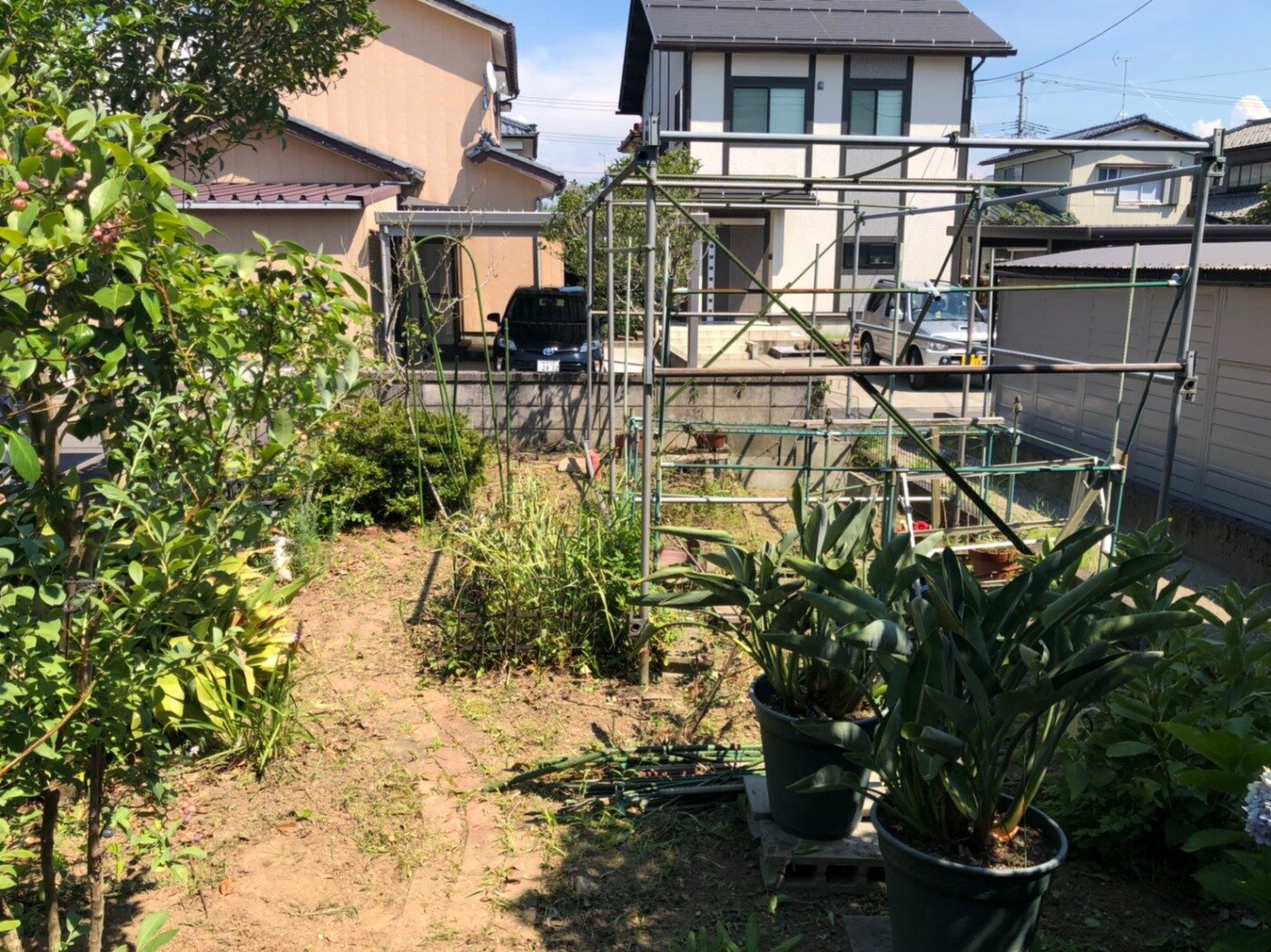 新潟市江南区で草刈り 草取り お庭のお手入れ 枝切り 草むしり伐採をして来ました 便利ブログ 便利屋新潟サポート 不用品回収 片付け ハウスクリーニング 遺品整理 各種代行